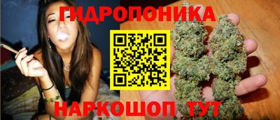 ECSTASY Кунгур