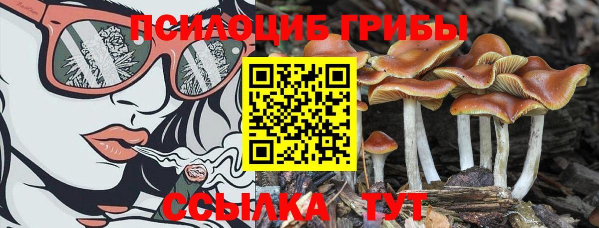 наркотики  Псилоцибиновые грибы MAGIC MUSHROOMS  Вход с VPN  Кашира 